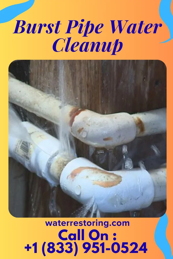 Burst Pipe Water Cleanup in Kinnelon, NJ