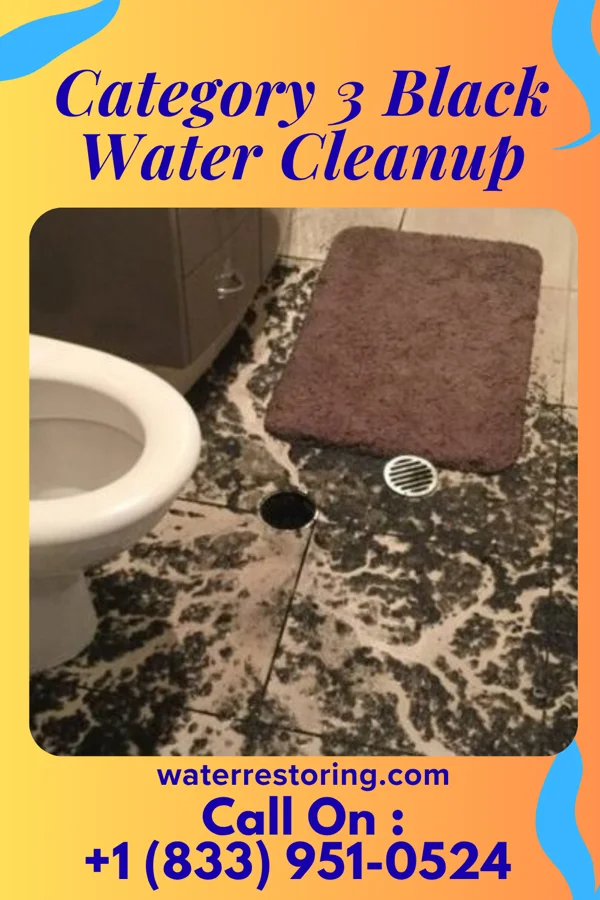 Category 3 Black Water Cleanup in Kinnelon, NJ