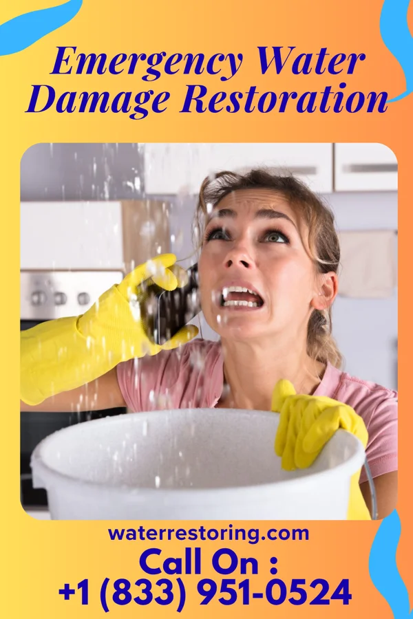 Emergency Water Damage Restoration in Kinnelon, NJ