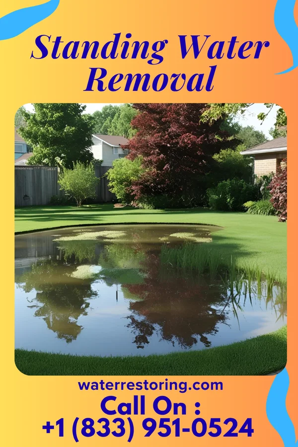 Standing Water Removal in Kinnelon, NJ
